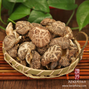 Dried Shiitake Mushroom Without Stem (White Flower)