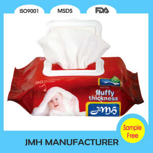 Professional Factory Baby Wet Napkin in Plastic Bag (BW053)